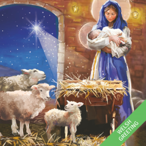 'Starlit Manger' Christmas Cards